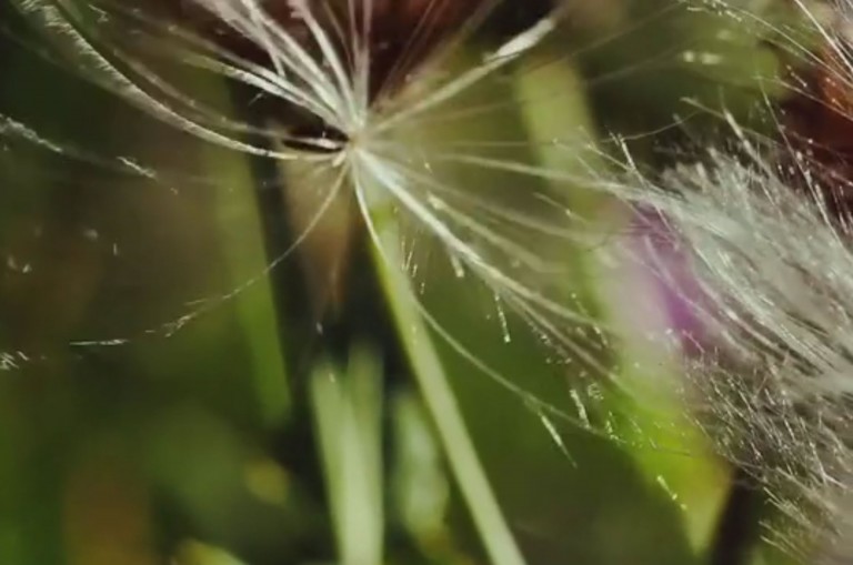  © Jeanne Bucher Jaeger