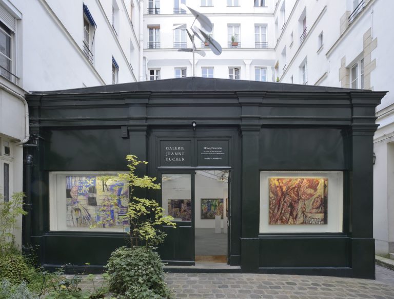 Exposition personnelle « Moser, l'insoumis », 2014-2015<br/>© Jeanne Bucher Jaeger