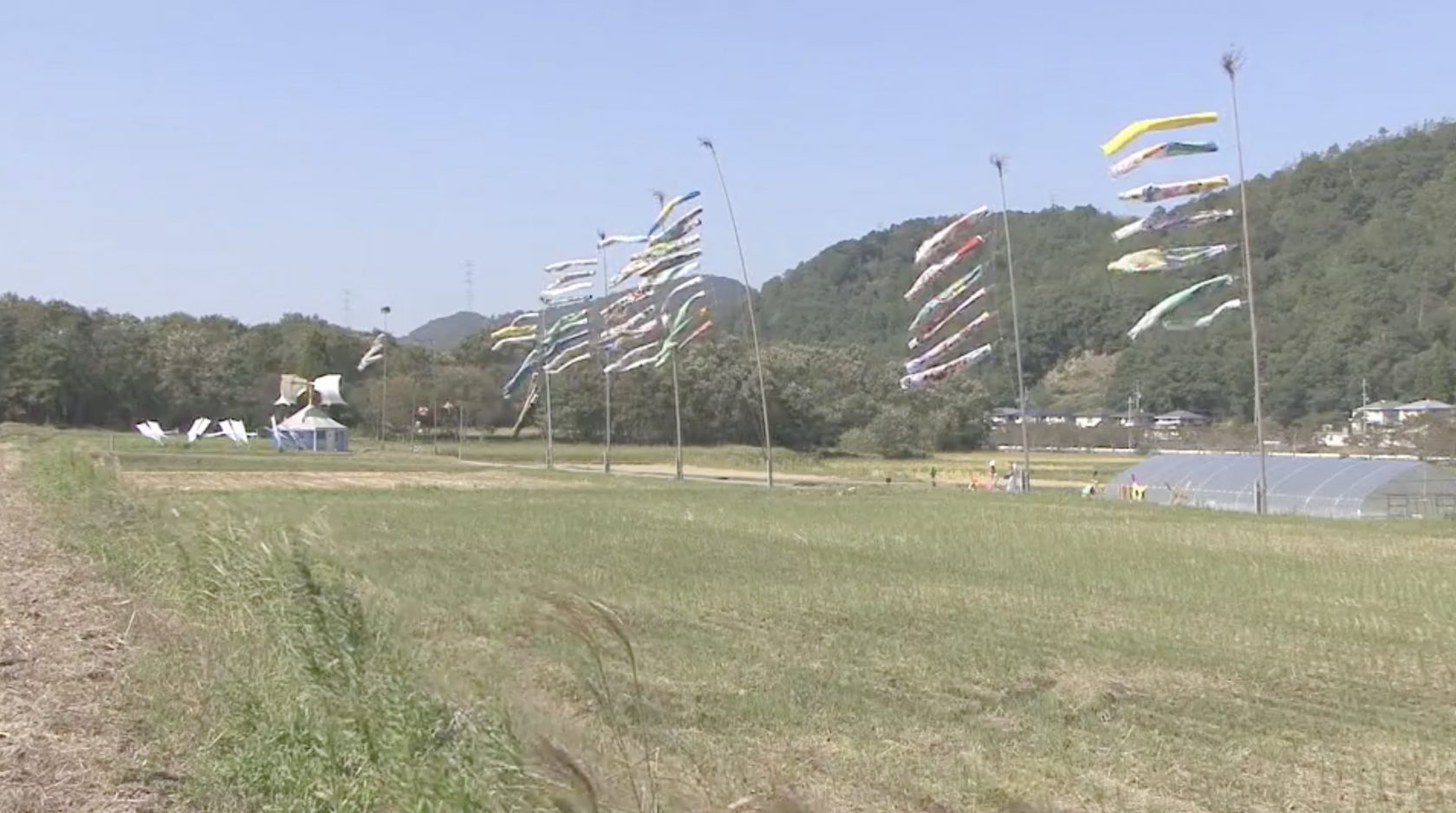  © Jeanne Bucher Jaeger