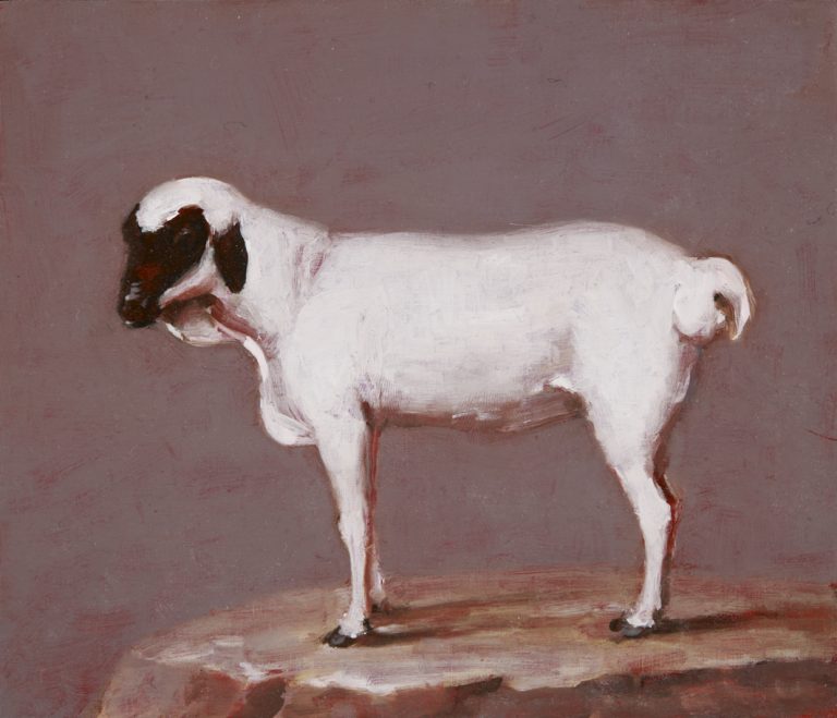 Miguel Branco, Sans titre (d'après le Bestiaire de Rudolph II), 2009<br/>© Jeanne Bucher Jaeger