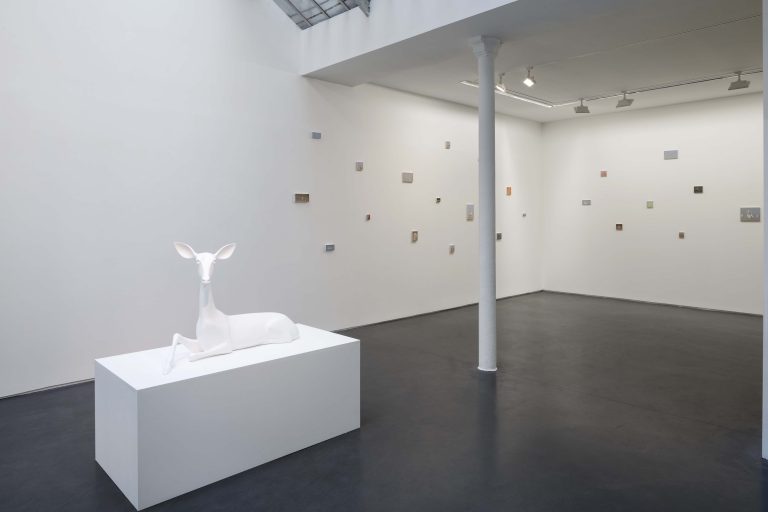 Exposition personnelle « SPECTRES - On Birds, Skulls and Drones », Miguel Branco, 2016<br/>© Jeanne Bucher Jaeger