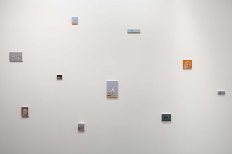 Exposition personnelle « SPECTRES - On Birds, Skulls and Drones », Miguel Branco, 2016<br/>© Jeanne Bucher Jaeger