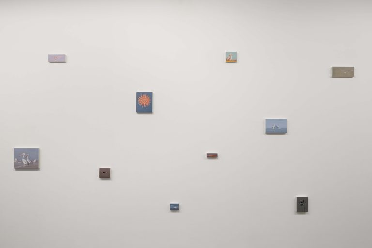 Exposition personnelle « SPECTRES - On Birds, Skulls and Drones », Miguel Branco, 2016<br/>© Jeanne Bucher Jaeger