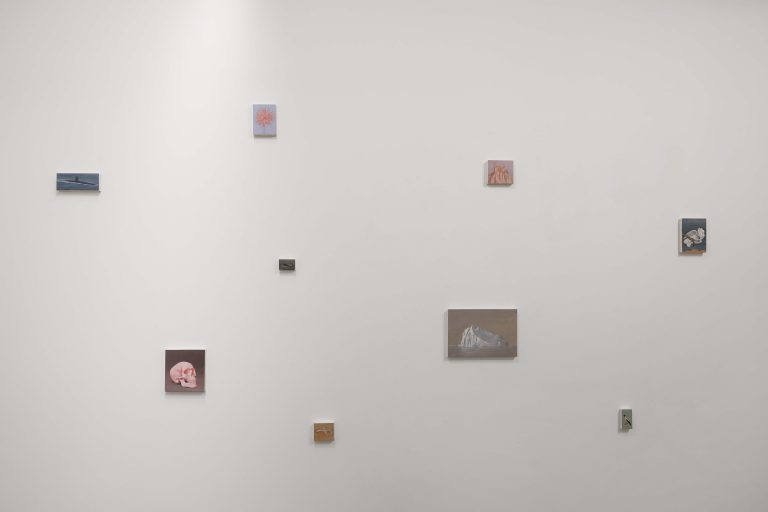 Exposition personnelle « SPECTRES - On Birds, Skulls and Drones », Miguel Branco, 2016<br/>© Jeanne Bucher Jaeger