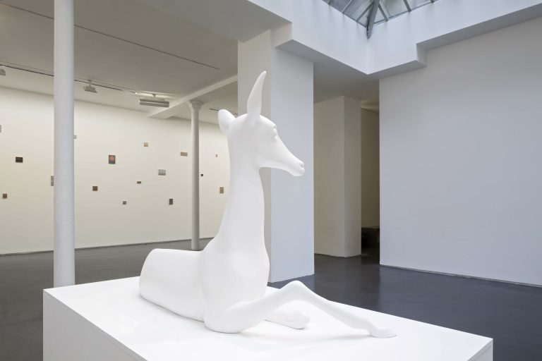 Exposition personnelle « SPECTRES - On Birds, Skulls and Drones », Miguel Branco, 2016<br/>© Jeanne Bucher Jaeger