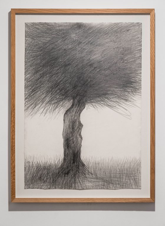 Dani Karavan, Olive tree, 2018<br/>© Jeanne Bucher Jaeger