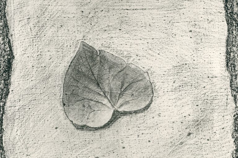 27-La-palette-de-césar-20-Cover © Jeanne Bucher Jaeger