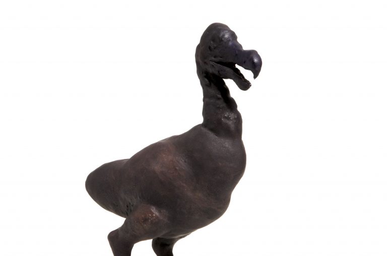 Miguel-Branco_Untitled-(Dodo),-2007_Detail © Jeanne Bucher Jaeger