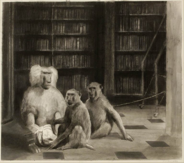 Miguel Branco, Untitled (The Library), 2015<br/>© Jeanne Bucher Jaeger