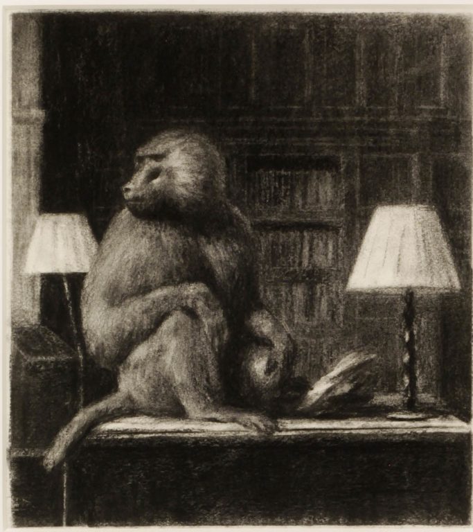 Miguel Branco, Untitled (The Library), 2015<br/>© Jeanne Bucher Jaeger