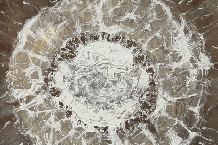 Mark-Tobey-Space-Rose-1959-©Jean-Louis-Losi-300-dpi-cover © Jeanne Bucher Jaeger