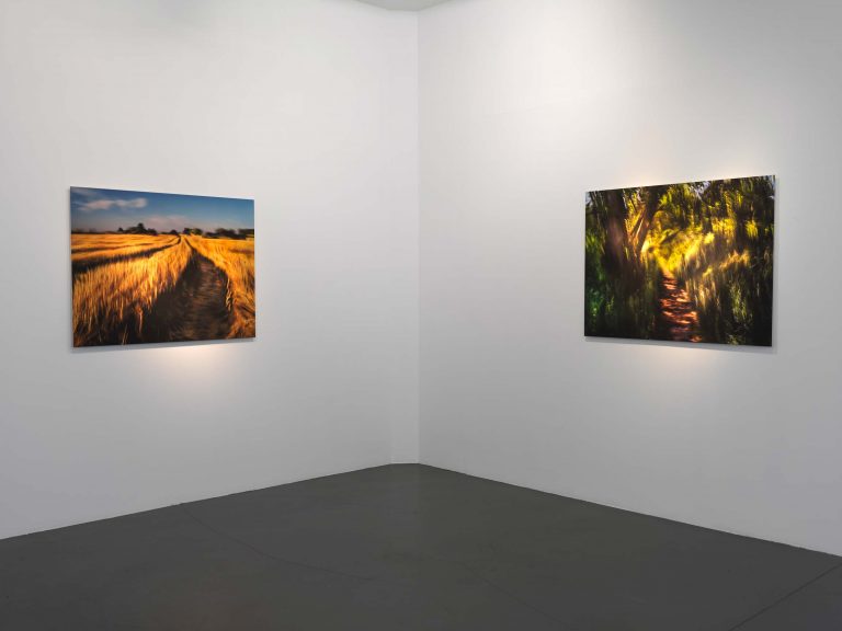 Exposition personnelle « Spiritus », Georges Poncet, 2021<br/>© Jeanne Bucher Jaeger