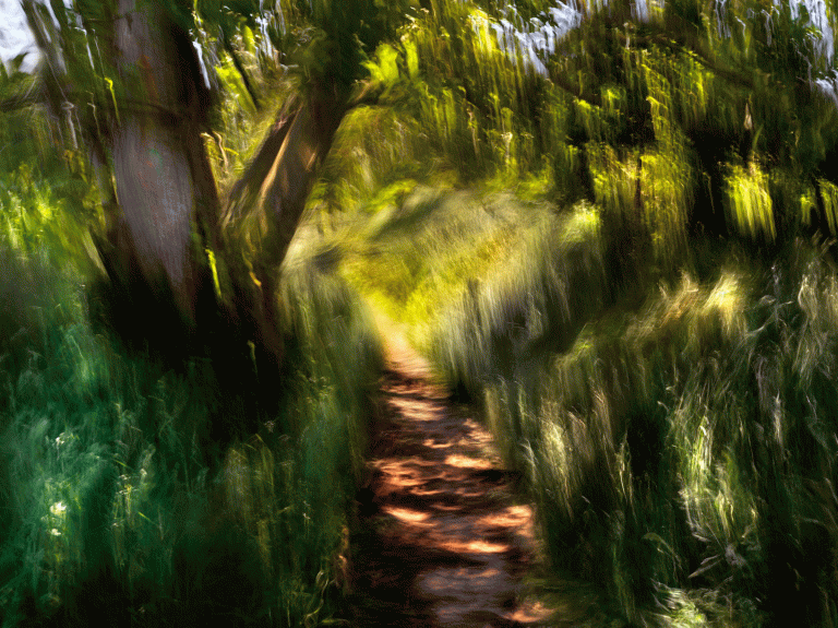 Georges Poncet, Le Chemin de Vincent - Auvers, 2018<br/>© Jeanne Bucher Jaeger
