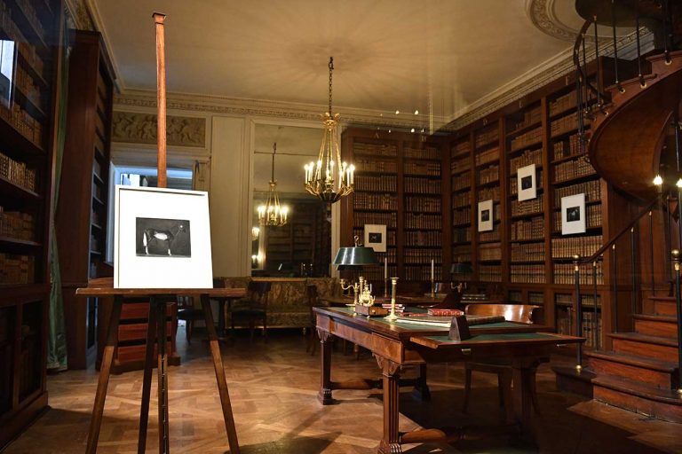 Vue d'exposition « Fontainebleau - Miguel Branco », 2022<br/>© Jeanne Bucher Jaeger