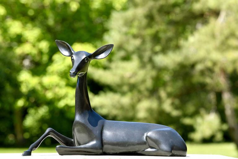 Vue d'exposition « Fontainebleau - Miguel Branco », 2022<br/>© Jeanne Bucher Jaeger