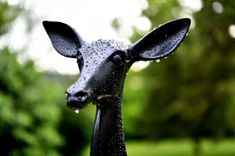 Vue d'exposition « Fontainebleau - Miguel Branco », 2022<br/>© Jeanne Bucher Jaeger