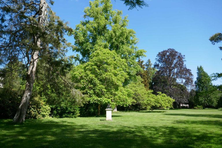 Vue d'exposition « Fontainebleau - Miguel Branco », 2022<br/>© Jeanne Bucher Jaeger