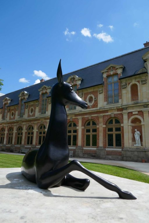 Vue d'exposition « Fontainebleau - Miguel Branco », 2022<br/>© Jeanne Bucher Jaeger