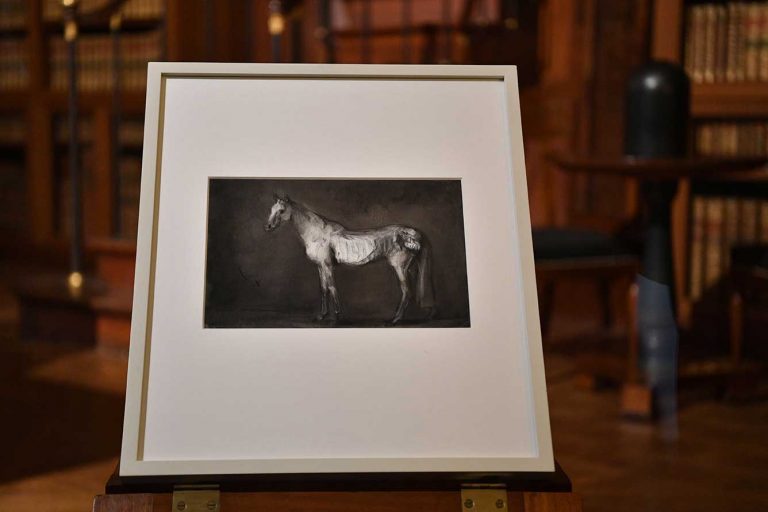 Vue d'exposition « Fontainebleau - Miguel Branco », 2022<br/>© Jeanne Bucher Jaeger