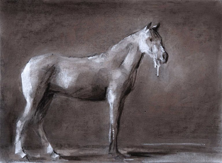 Miguel Branco, Sans Titre (d'Après Georges Stubbs) #7, 2010<br/>© Jeanne Bucher Jaeger