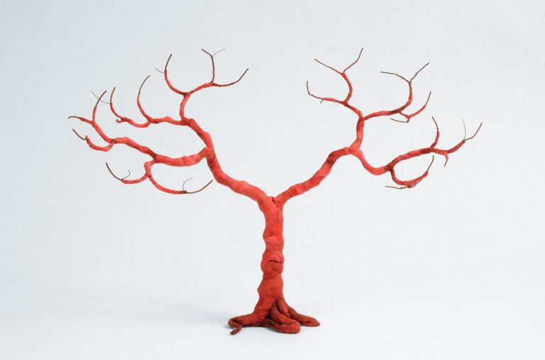 Miguel Branco, Untitled (Red Tree), 2007<br/>© Jeanne Bucher Jaeger