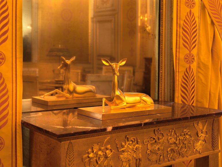 Vue d'exposition « Fontainebleau - Miguel Branco », 2022<br/>© Jeanne Bucher Jaeger