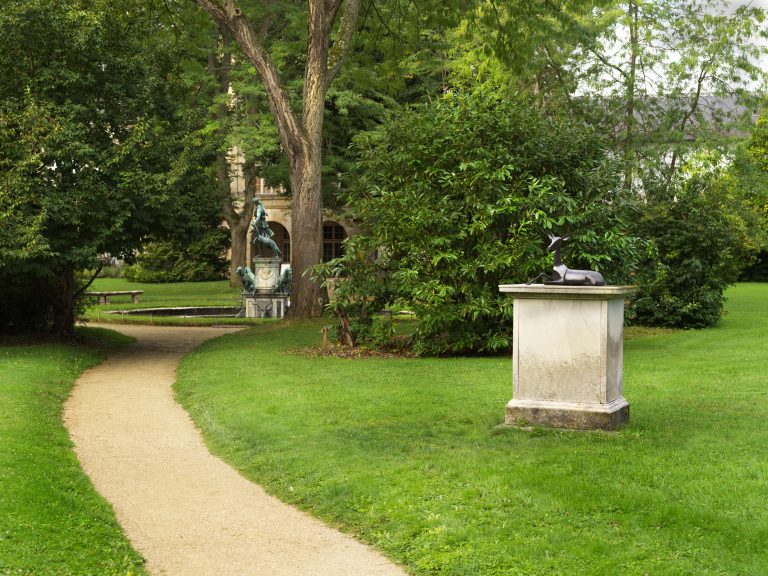 Vue d'exposition « Fontainebleau - Miguel Branco », 2022<br/>© Jeanne Bucher Jaeger