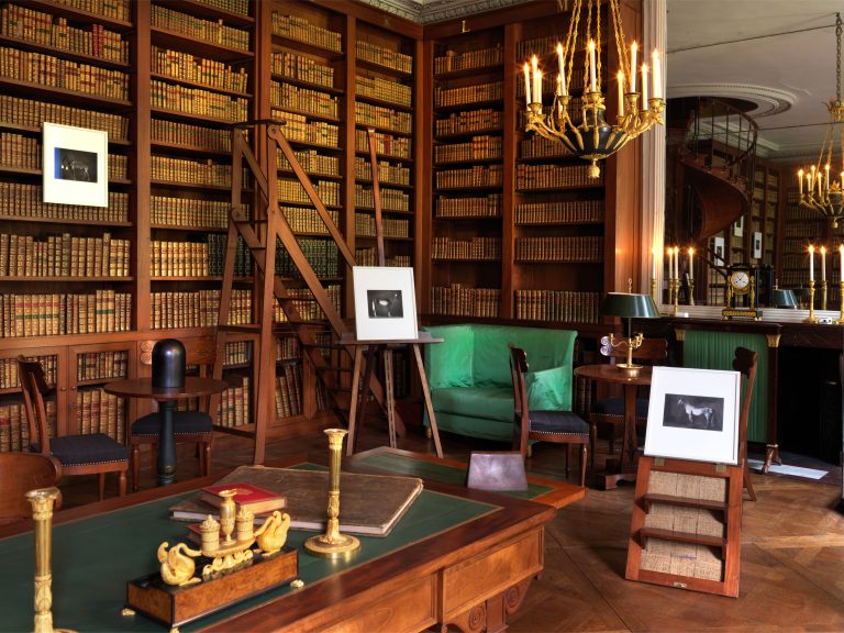 Vue d'exposition « Fontainebleau - Miguel Branco », 2022<br/>© Jeanne Bucher Jaeger