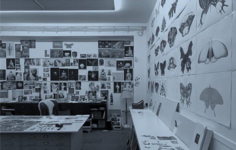 Exposition Miguel Branco, Terra - ou os quarenta  nove degraus, 2023<br/>© Jeanne Bucher Jaeger