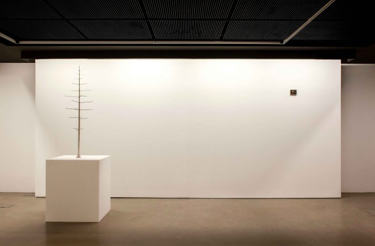 Exposition Miguel Branco, Terra - ou os quarenta  nove degraus, 2023<br/>© Jeanne Bucher Jaeger