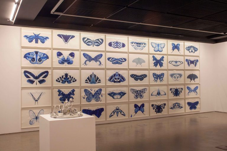 Exposition Miguel Branco, Terra - ou os quarenta  nove degraus, 2023<br/>© Jeanne Bucher Jaeger