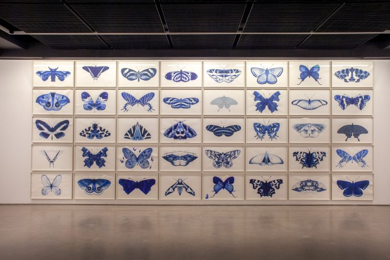 Exposition Miguel Branco, Terra - ou os quarenta  nove degraus, 2023<br/>© Jeanne Bucher Jaeger