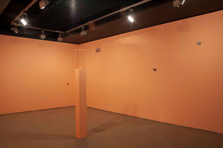 Exposition Miguel Branco, Terra - ou os quarenta  nove degraus, 2023<br/>© Jeanne Bucher Jaeger