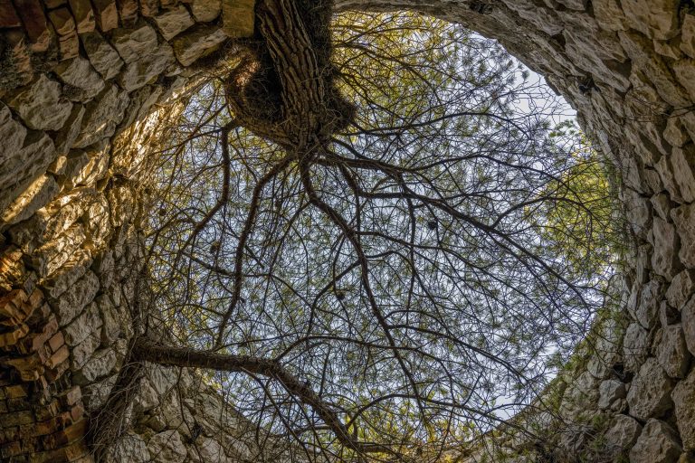 Site de la Friche de l’Escalette<br/>© Jeanne Bucher Jaeger