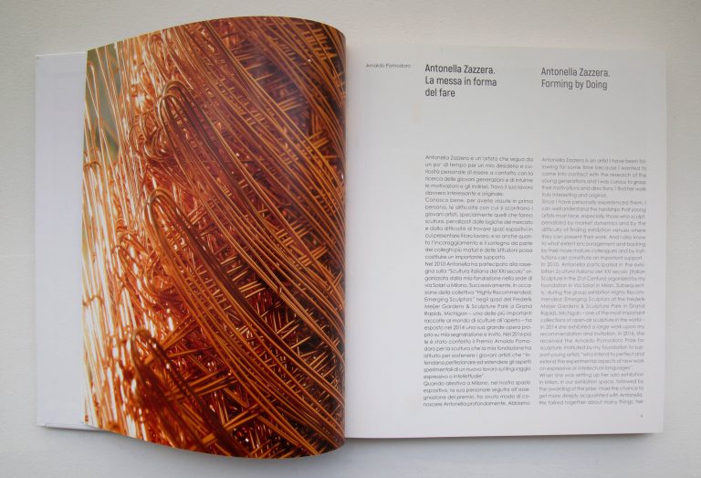 Extrait « Antonella Zazzera, Armoniche Tensioni », Édition Silvana Editoriale<br/>© Jeanne Bucher Jaeger