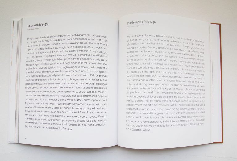 Extrait « Antonella Zazzera, Armoniche Tensioni », Édition Silvana Editoriale<br/>© Jeanne Bucher Jaeger