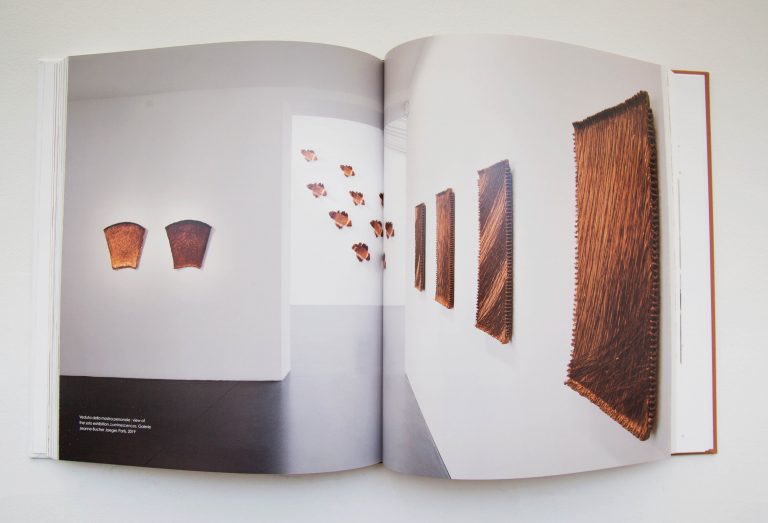 Extrait « Antonella Zazzera, Armoniche Tensioni », Édition Silvana Editoriale<br/>© Jeanne Bucher Jaeger