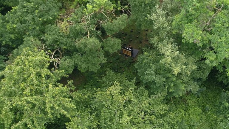 Concert for a New Forest, 2021,<br/>© Jeanne Bucher Jaeger