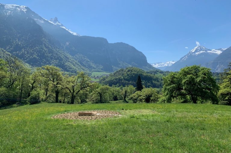 Guillaume Barth, Cercle jaune, Mille millperthuis, molènes et arnicas, 9 mètres de diamètres, couchette en mélèze, 2026 projet Écosophia BexArt, Suisse © Jeanne Bucher Jaeger