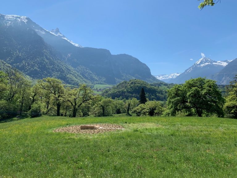 Guillaume Barth, Cercle jaune, Mille millperthuis, molènes et arnicas, 9 mètres de diamètres, couchette en mélèze, 2026 projet Écosophia BexArt, Suisse<br/>© Jeanne Bucher Jaeger
