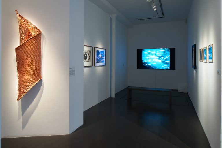 Vue d'exposition 