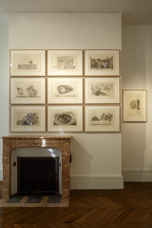 Vue de l’exposition, Max Ernst De Natura, au Domaine de Chaumont-sur-Loire, 2026<br/>© Jeanne Bucher Jaeger