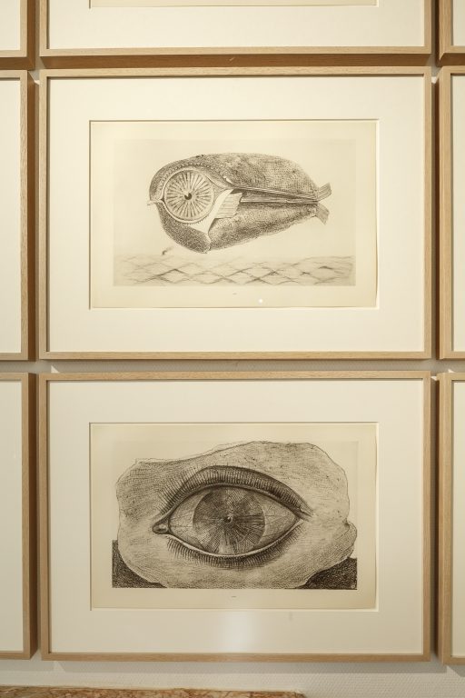 Vue de l’exposition, Max Ernst De Natura, au Domaine de Chaumont-sur-Loire, 2026.<br/>© Jeanne Bucher Jaeger